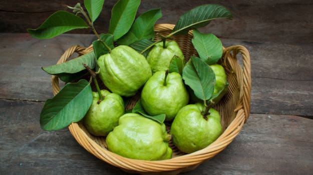Guava Leaves For Hair Loss