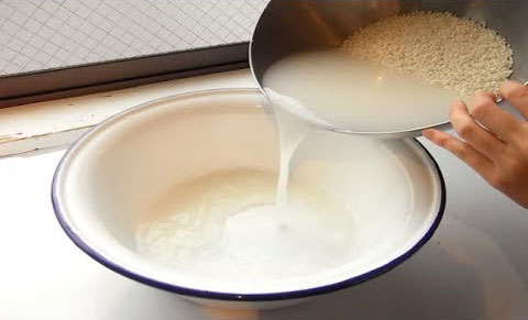 Fermented Rice Water