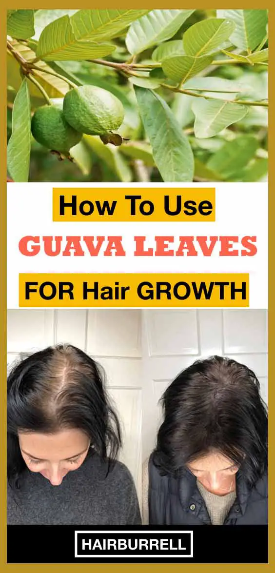 Guava Leaves For Hair Growth Review
