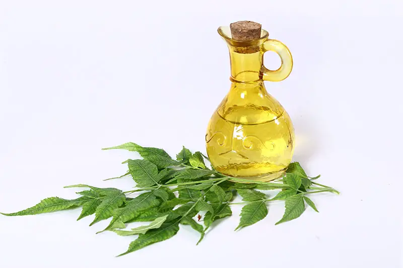 Neem Oil For Hair Growth