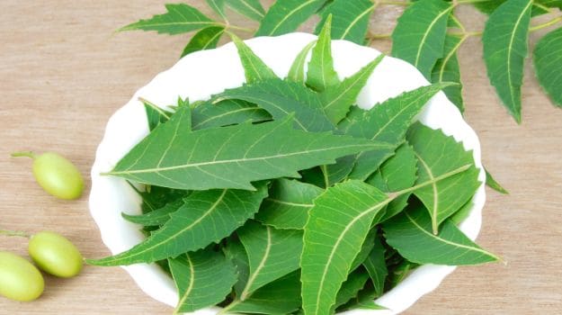 Neem Fruit