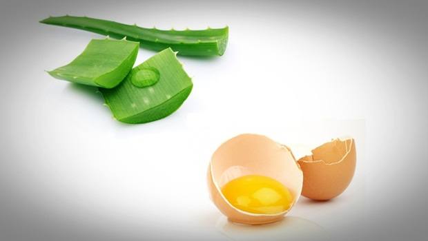Aloe Vera And Eggs