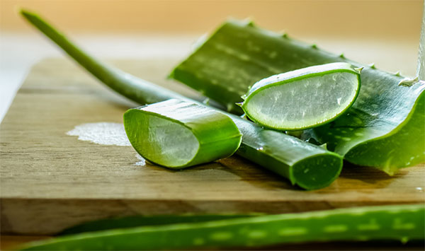 The Benefits of Aloe Vera For Hair
